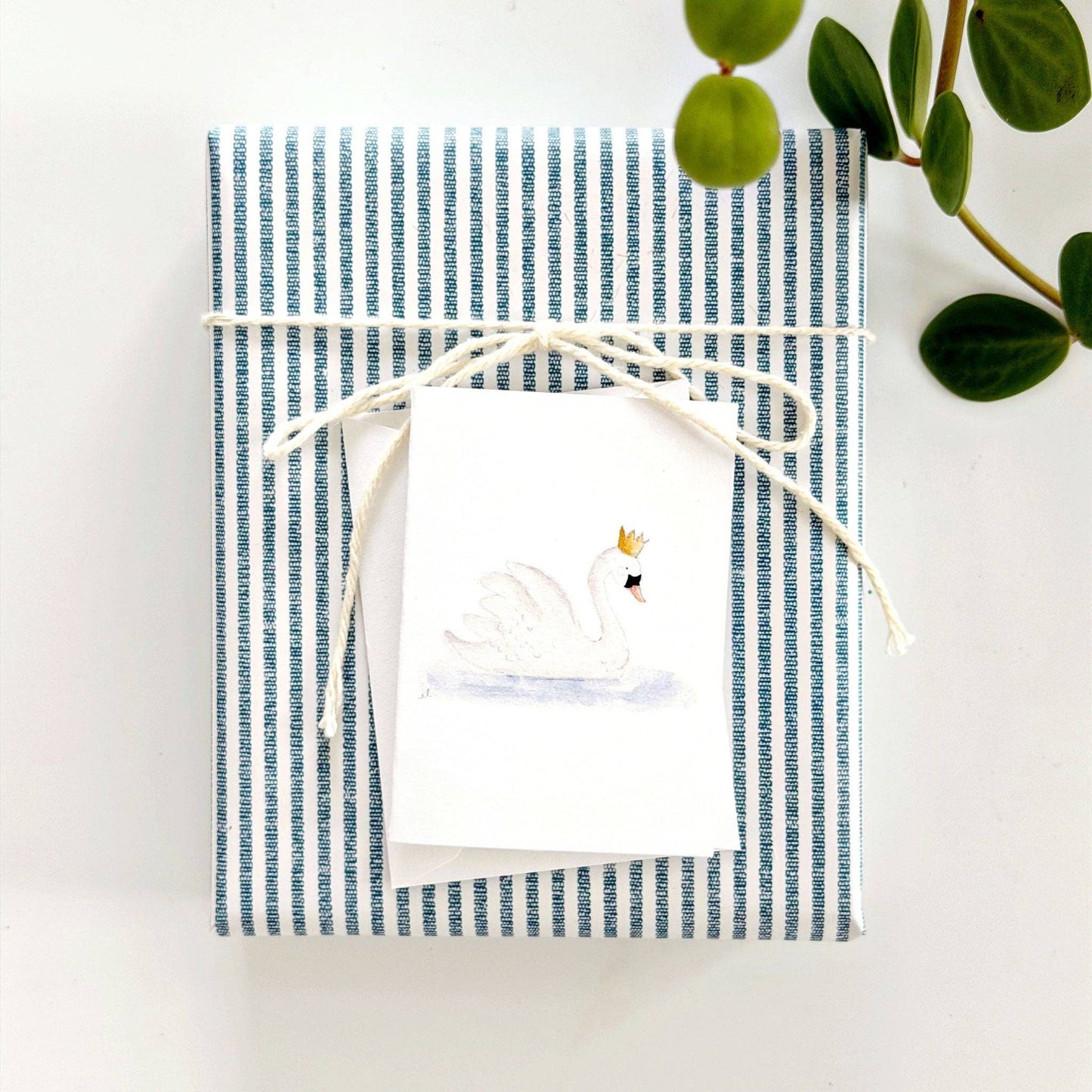 Swan mini enclosure notecard