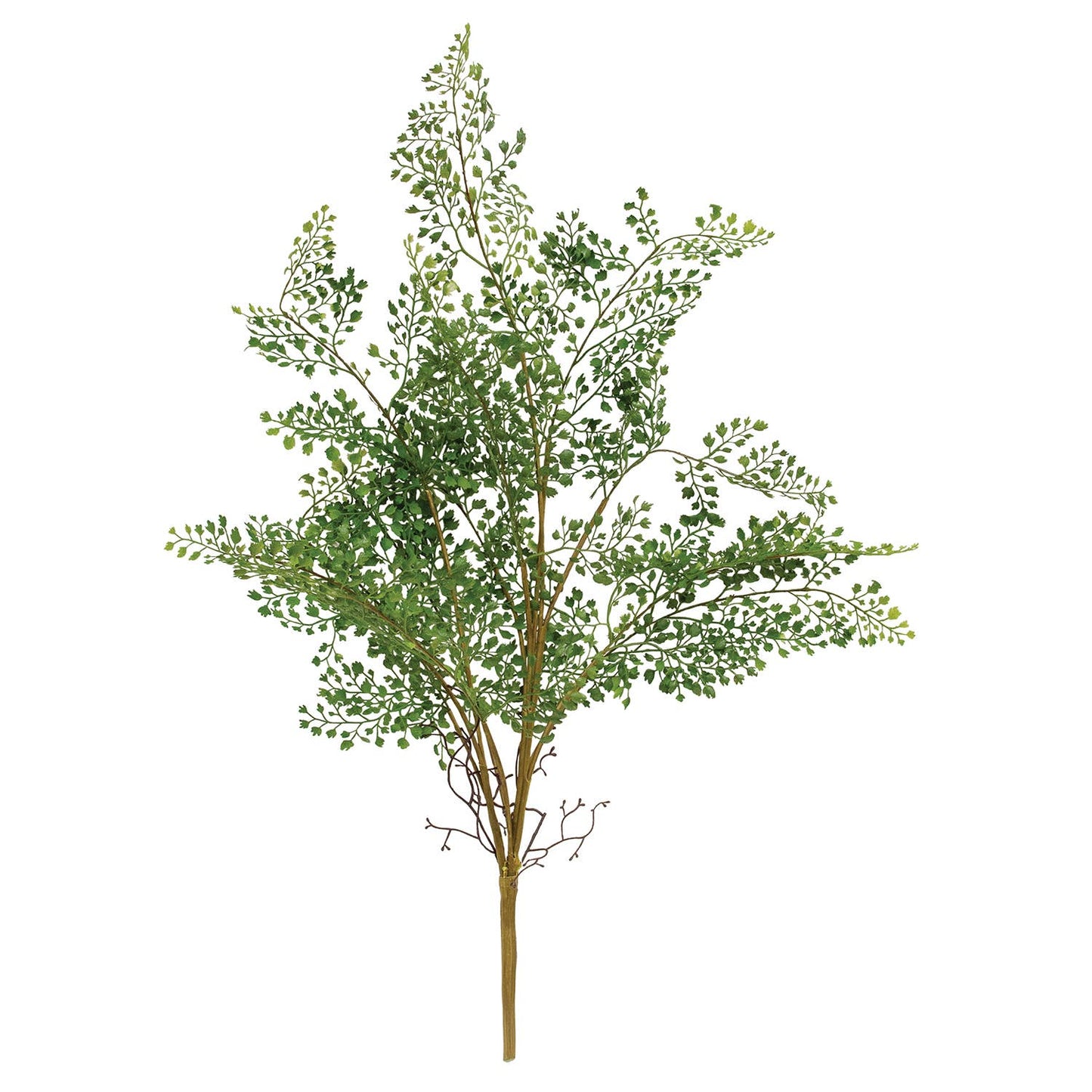 Maidenhair Fern Bush - 27"