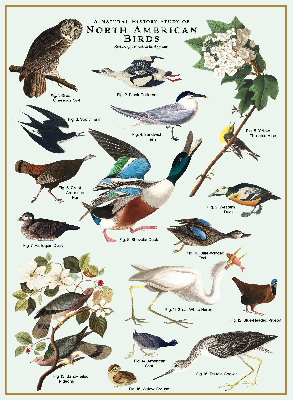 Birds Puzzle – 500 Pc Tube with Vintage Illustrations