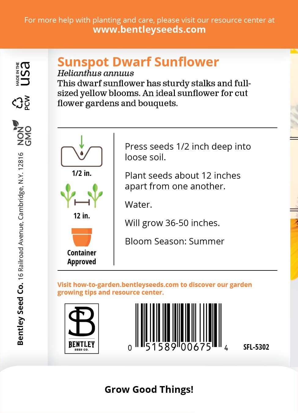 Sunflower, Sunspot Dwarf Seed Packets