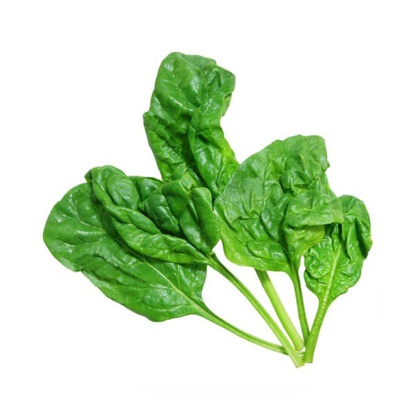 Spinach-Bloomsdale
