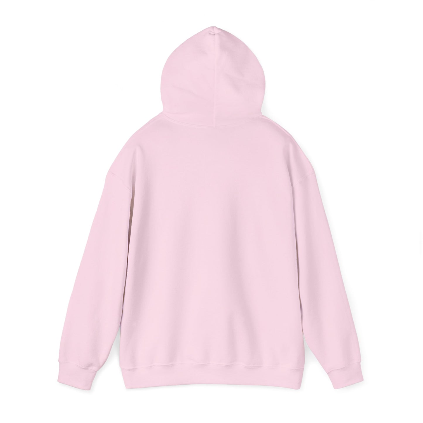 Walk a mile in my shoes…you’ll end up at the thrift store! Hooded Sweatshirt, Light Pink,
