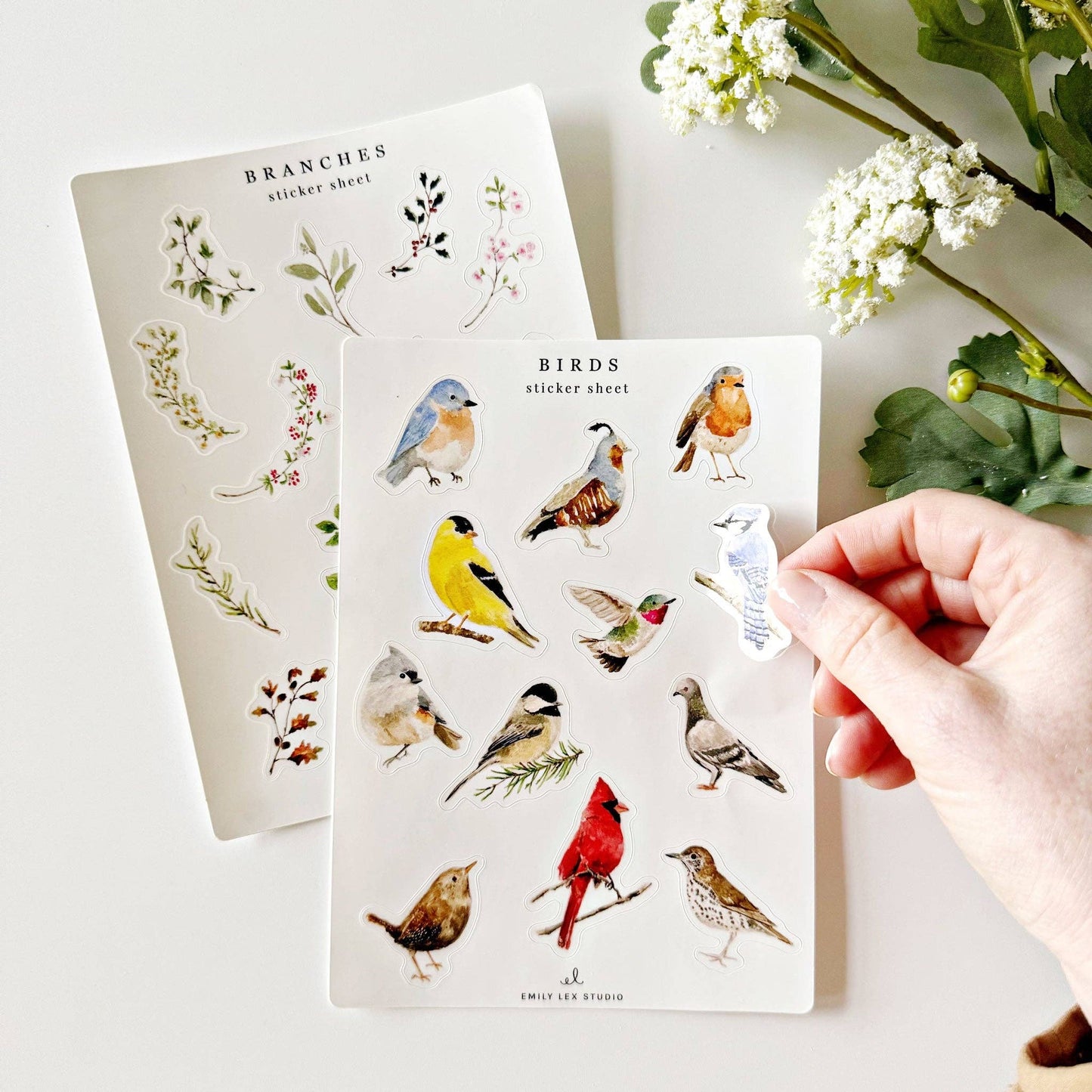 Birds sticker sheets