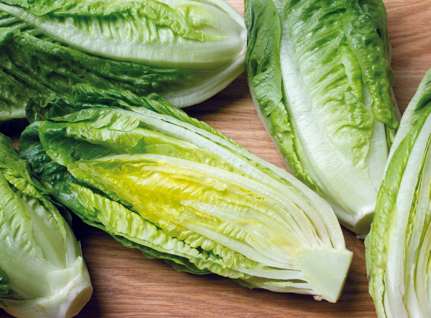 Lettuce-Parris Island Romaine 1949