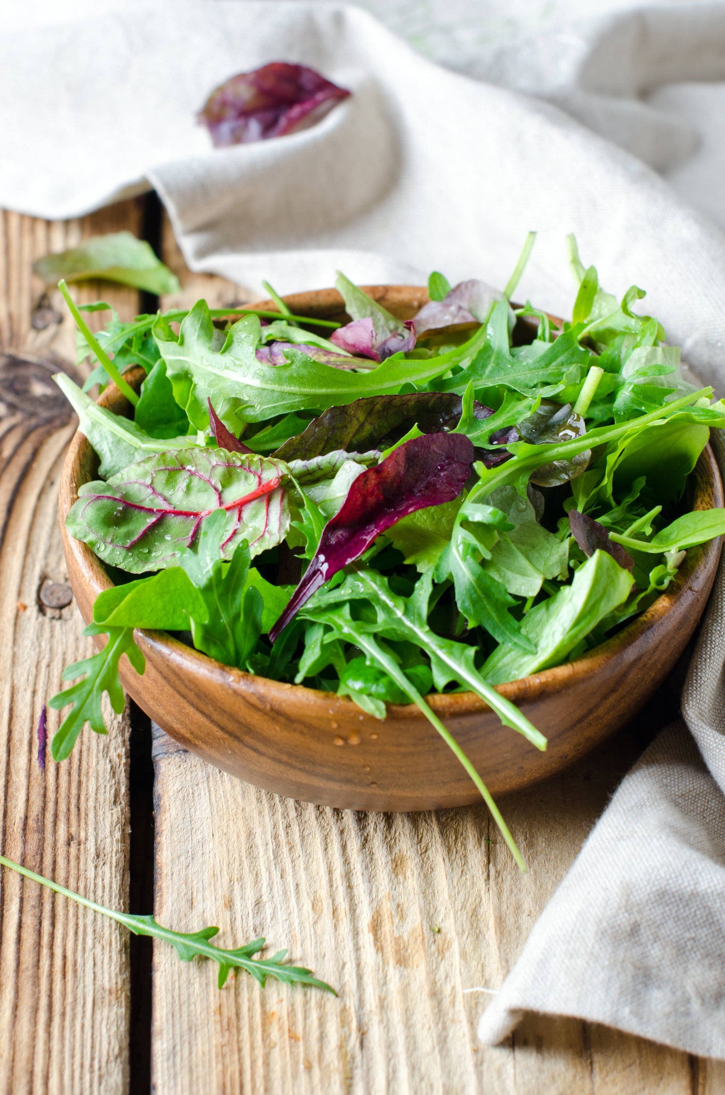 Lettuce, Mesclun Mix Seed Packets