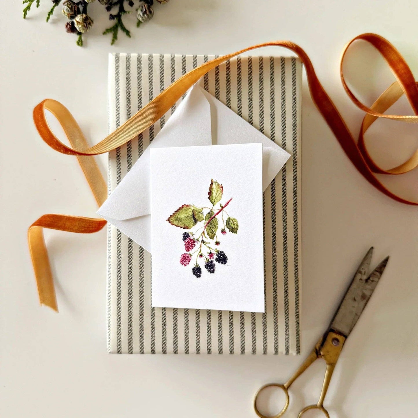 Blackberry mini enclosure notecard