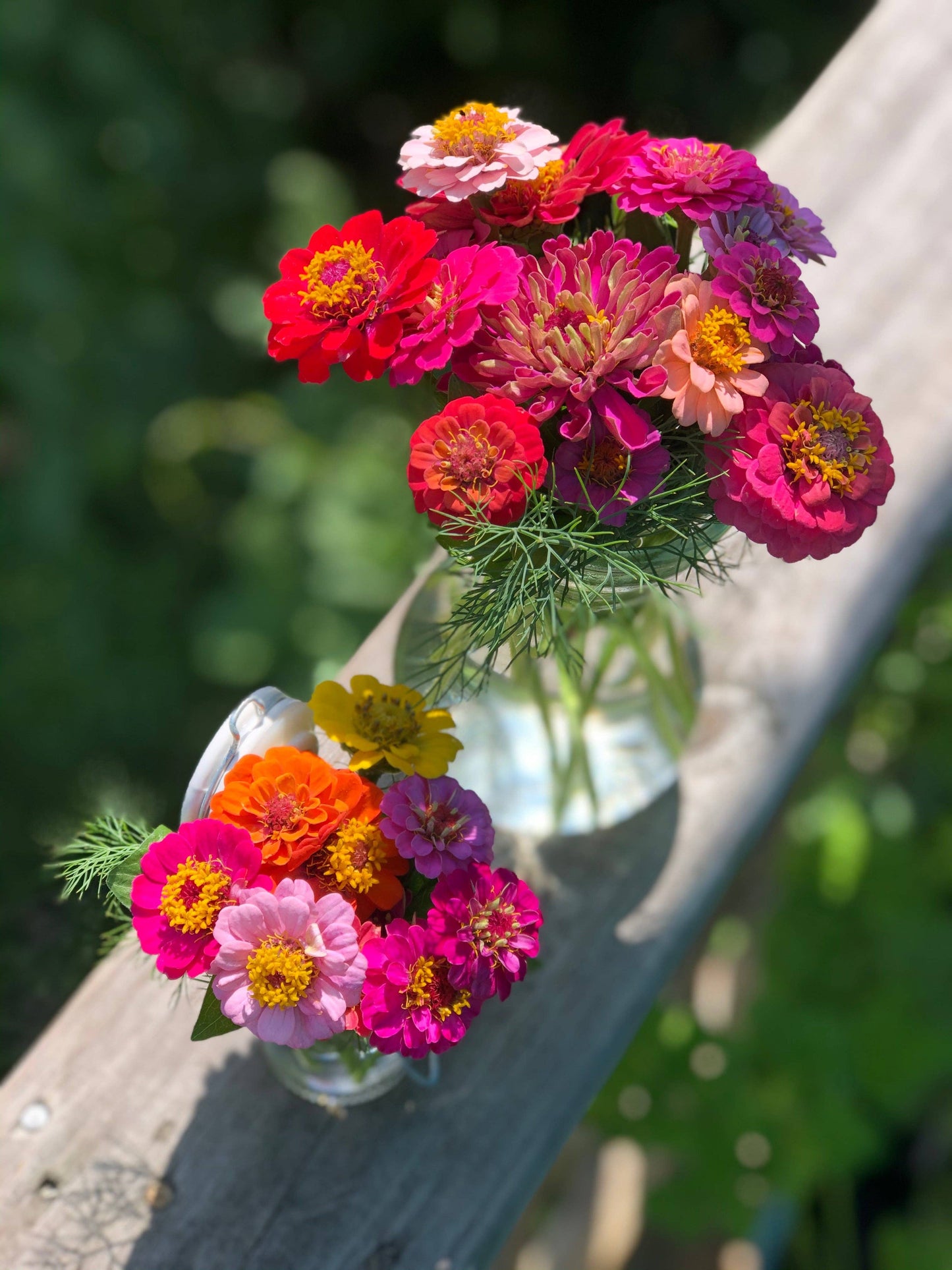 Zinnia, Lilliput Seed Packets