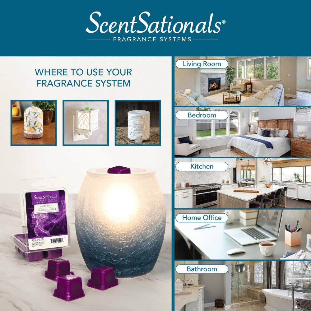 Tannenbaum Fragrance and Wax Warmer