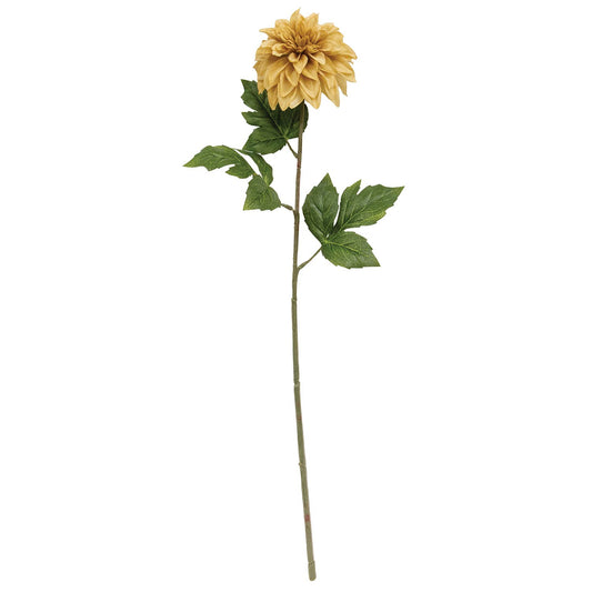 Teastain Dahlia Stem - 24"