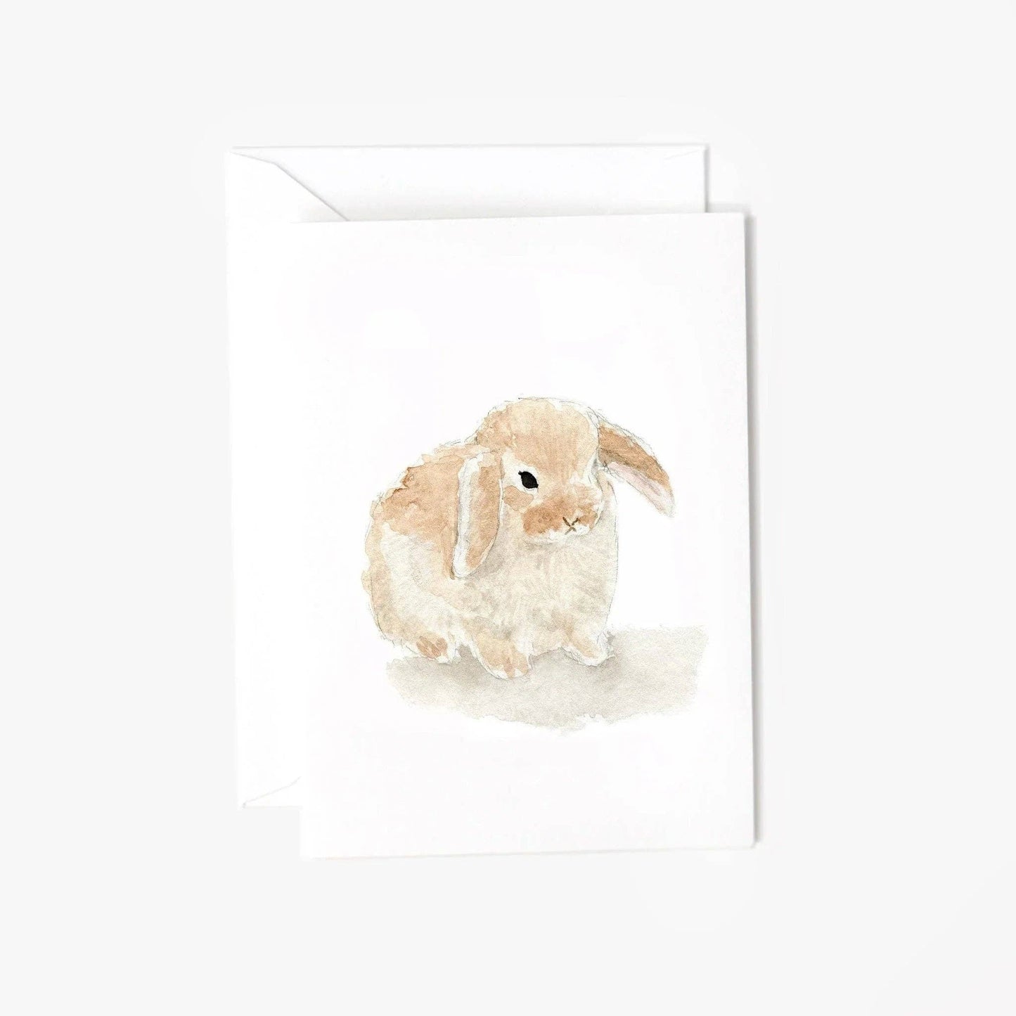 Bunny mini enclosure notecard