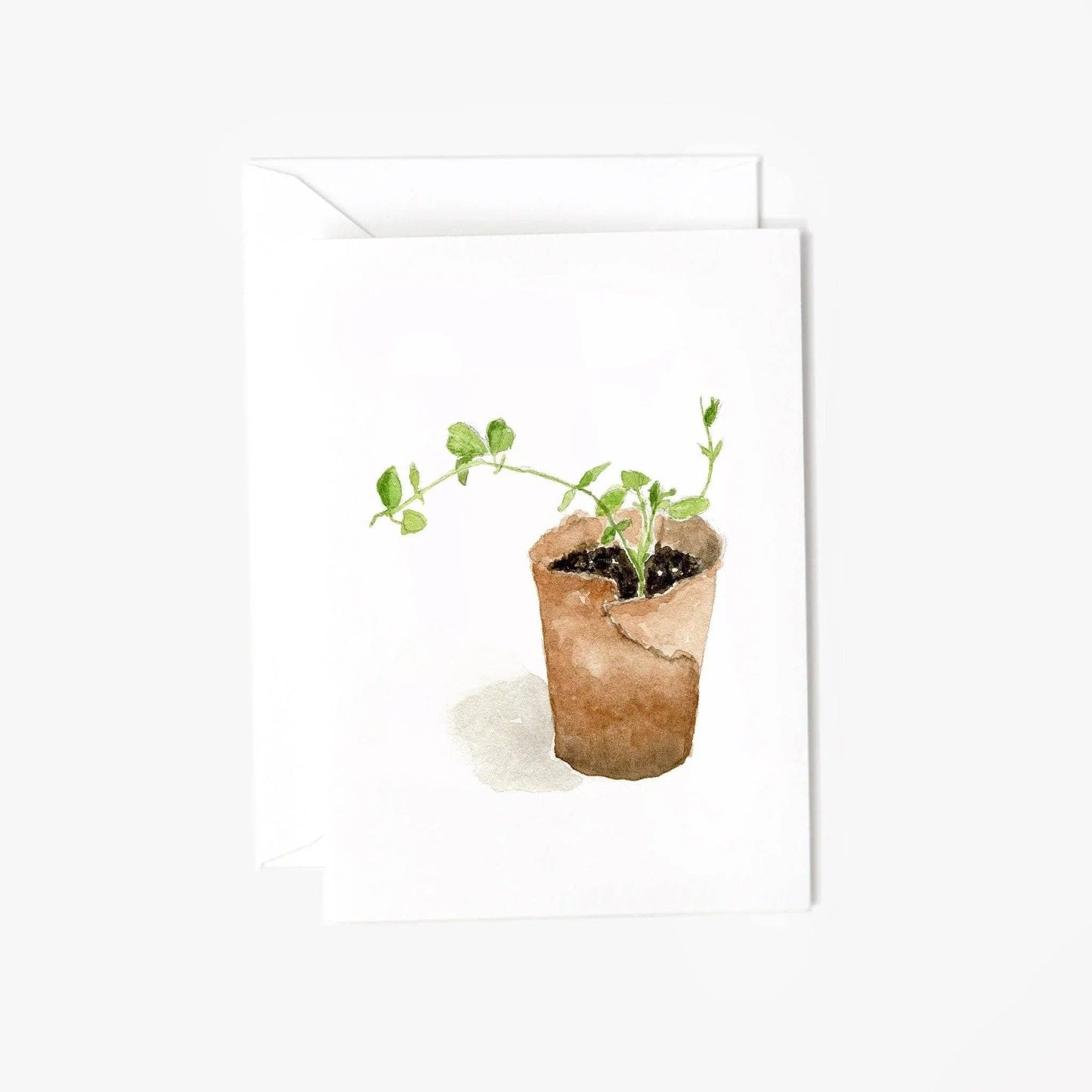 Sweet pea mini enclosure notecard