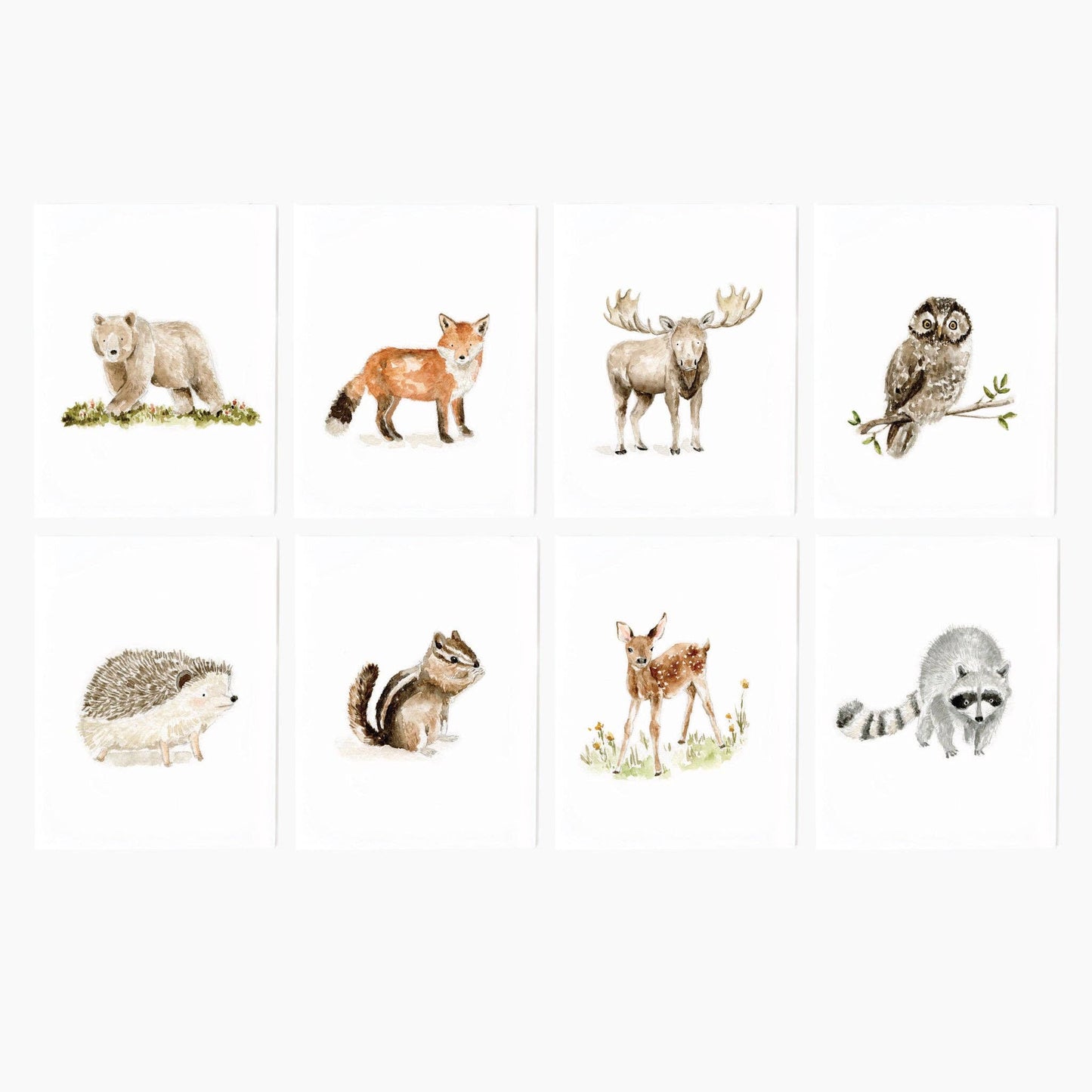 Woodland animals assorted notecard set