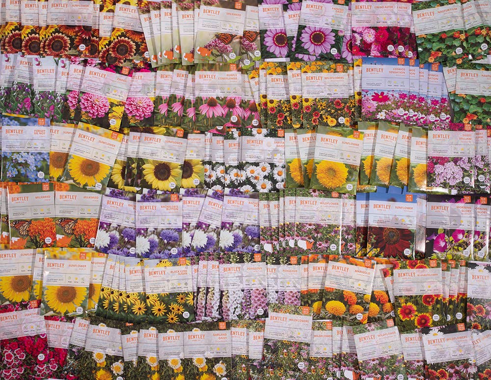 Bulk 250 Piece Eastern Region Flower Seed Packets