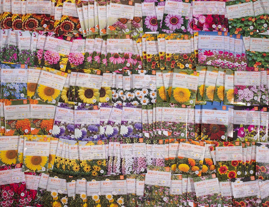 Bulk 250 Piece Eastern Region Flower Seed Packets