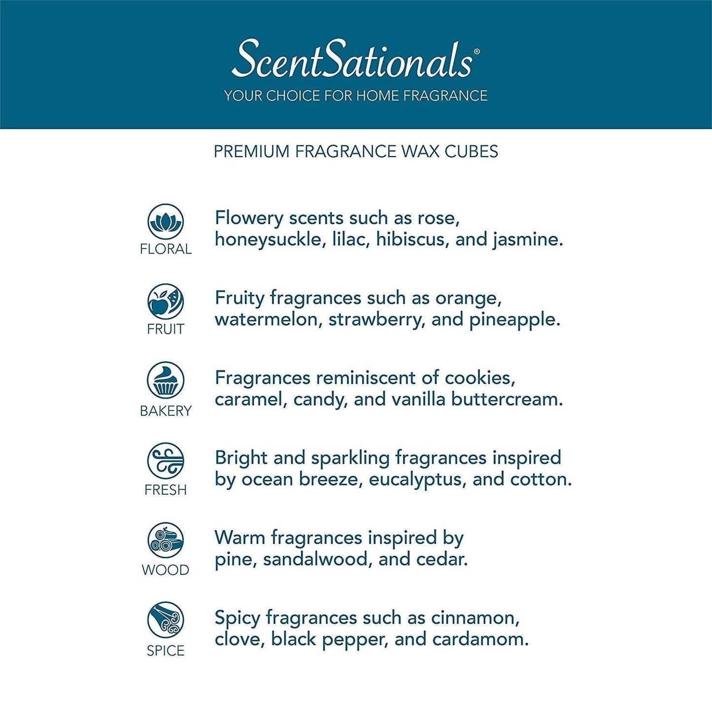 Tannenbaum Fragrance and Wax Warmer