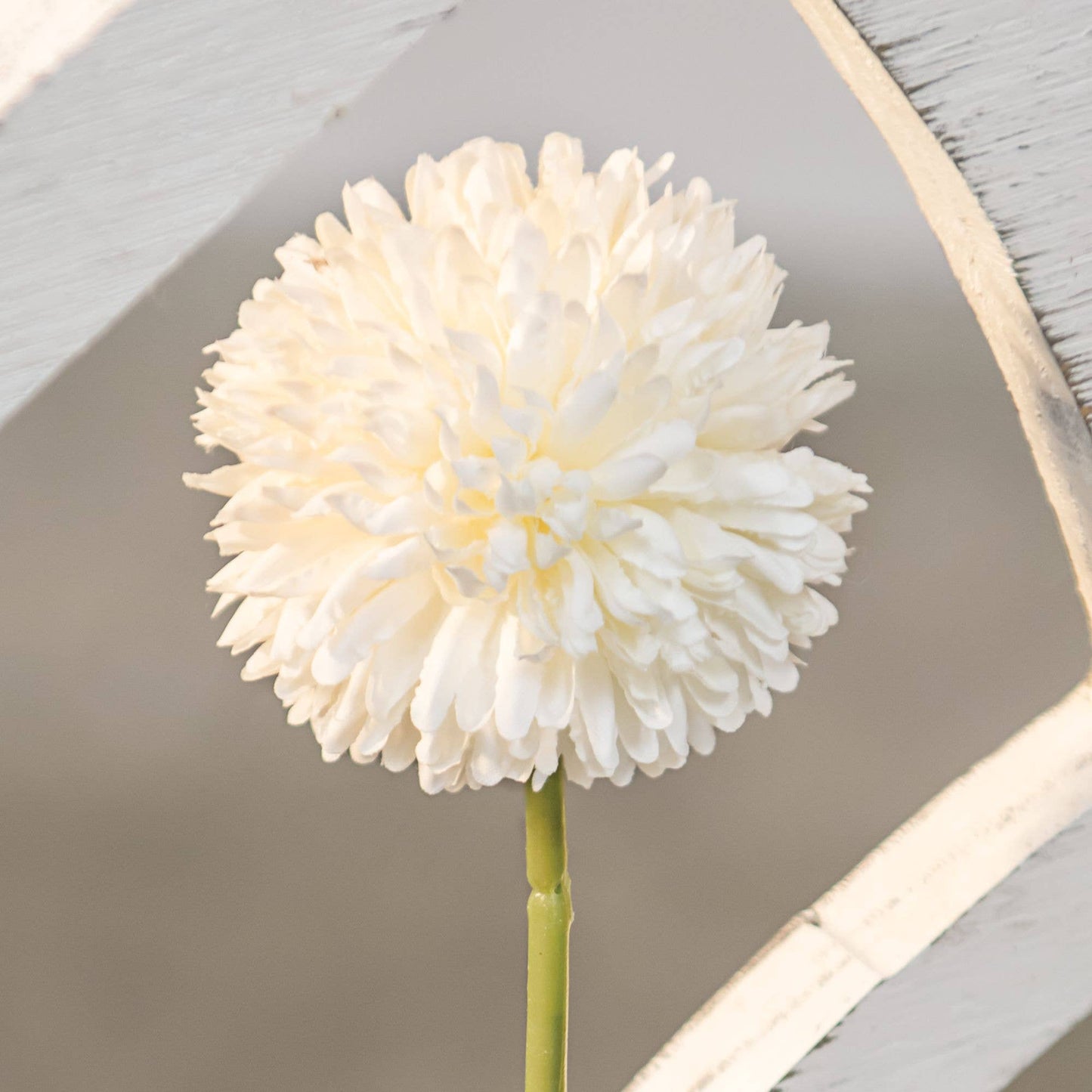 Pompom Stem, White