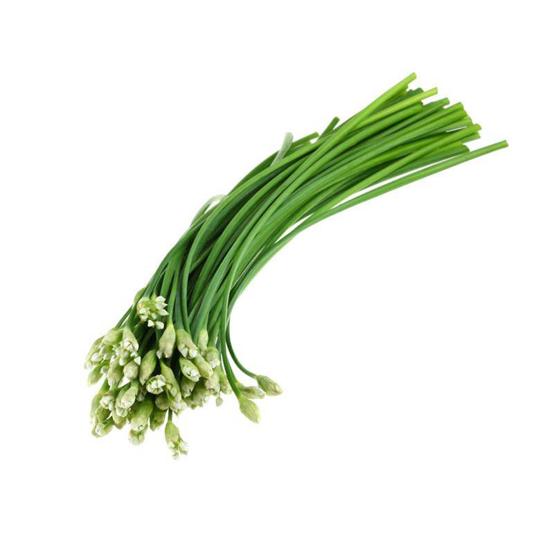 Garlic Chives Seed Packets