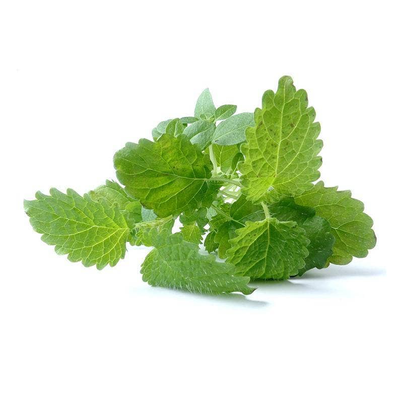 Lemon Balm Seed Packets