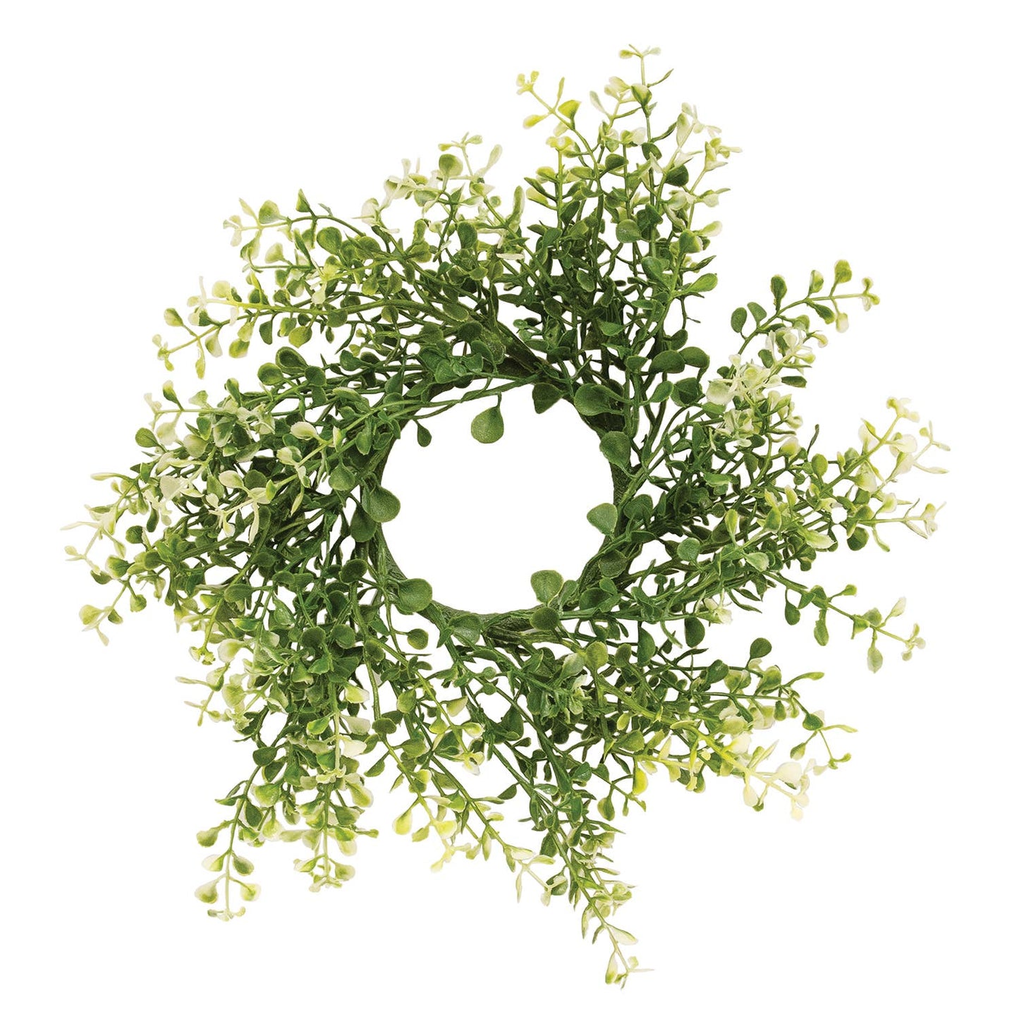 Cream Tipped Baby's Grass Candle Ring - 3"