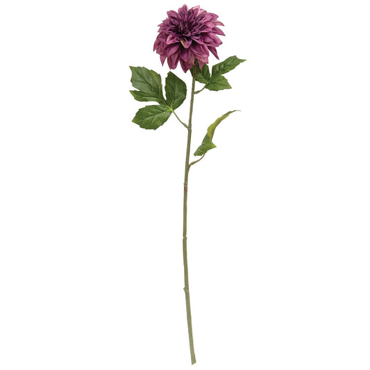 Plum Dahlia Stem - 24"