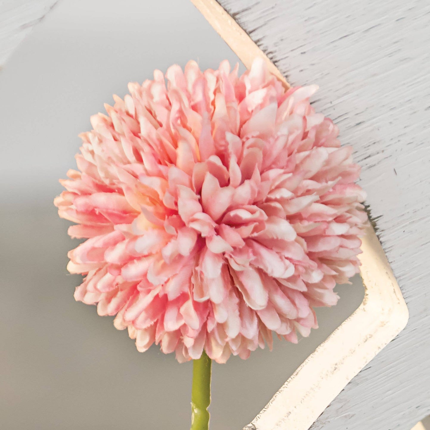 Pompom Stem, Blush