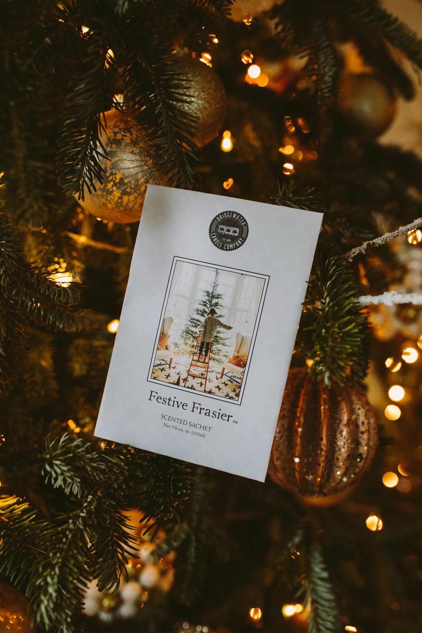 Festive Frasier Sachet 9 Pack