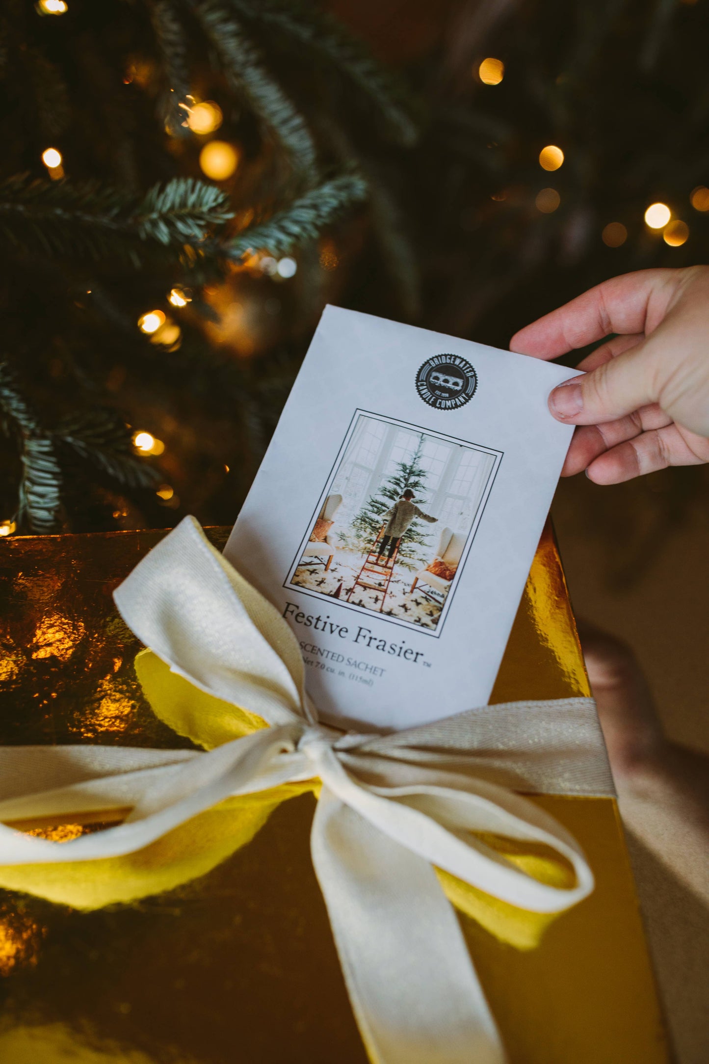 Festive Frasier Sachet 9 Pack