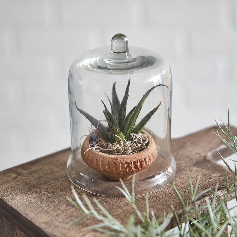 Miniature Glass Bell Cloche