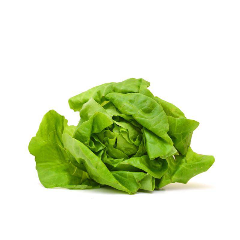 Lettuce, Buttercrunch Seed Packets