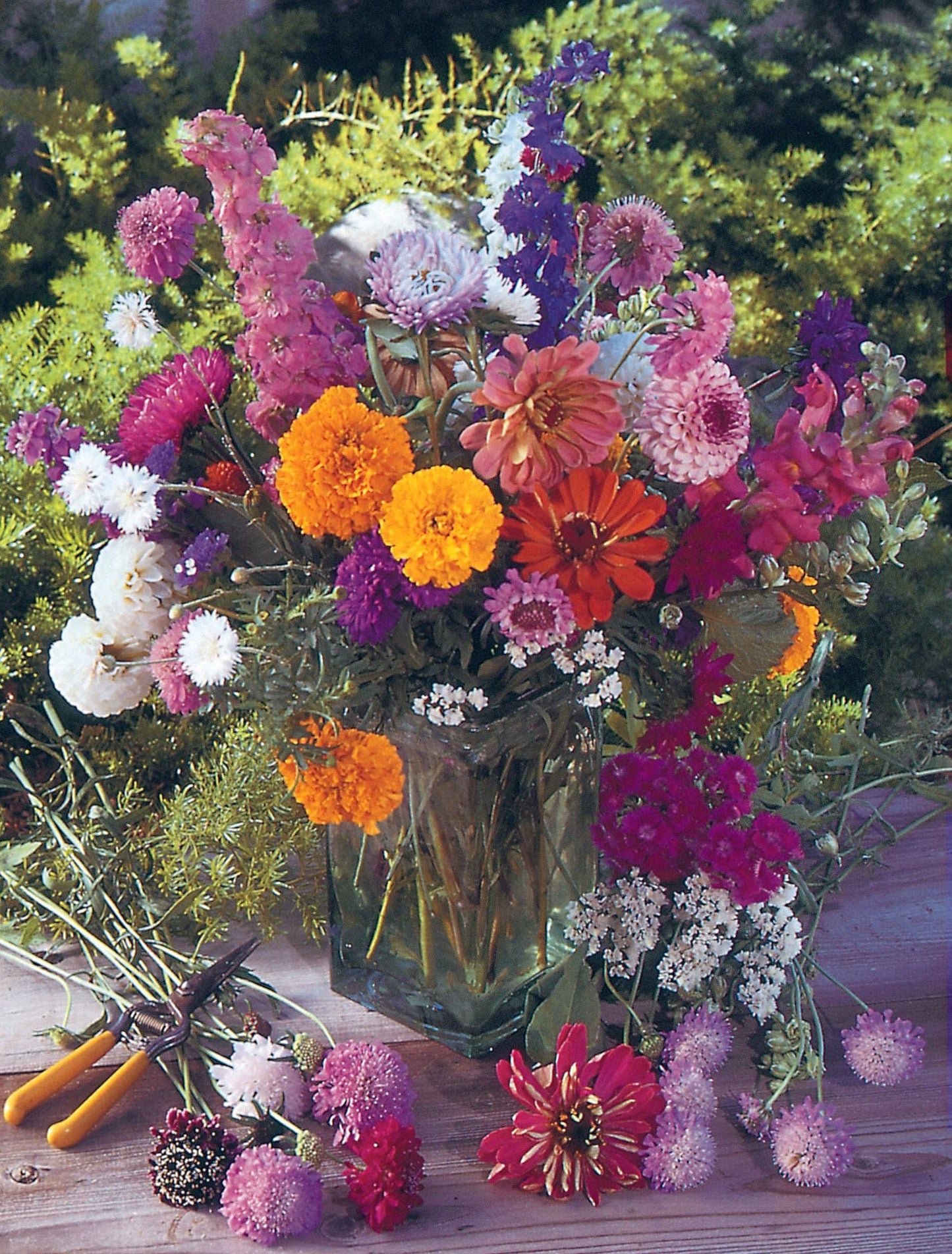 Thank You Butterfly - Pollinator Flower Mix Seed Packets